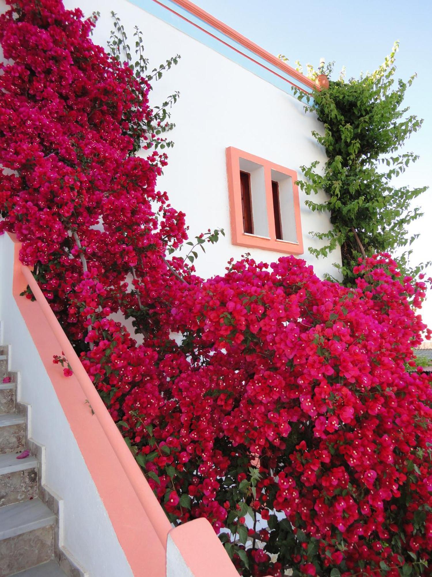 Villa Elizea Stalós Exteriér fotografie