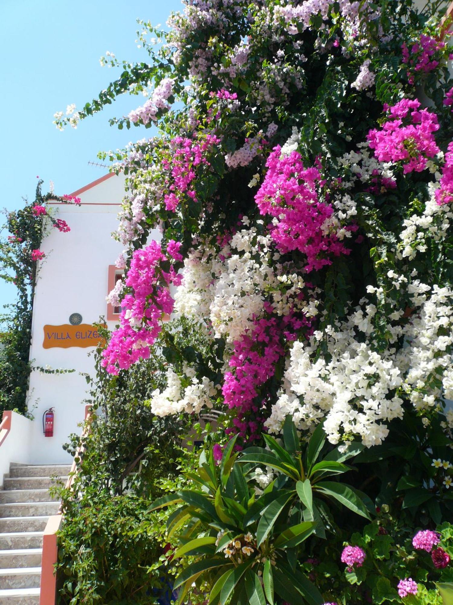 Villa Elizea Stalós Exteriér fotografie